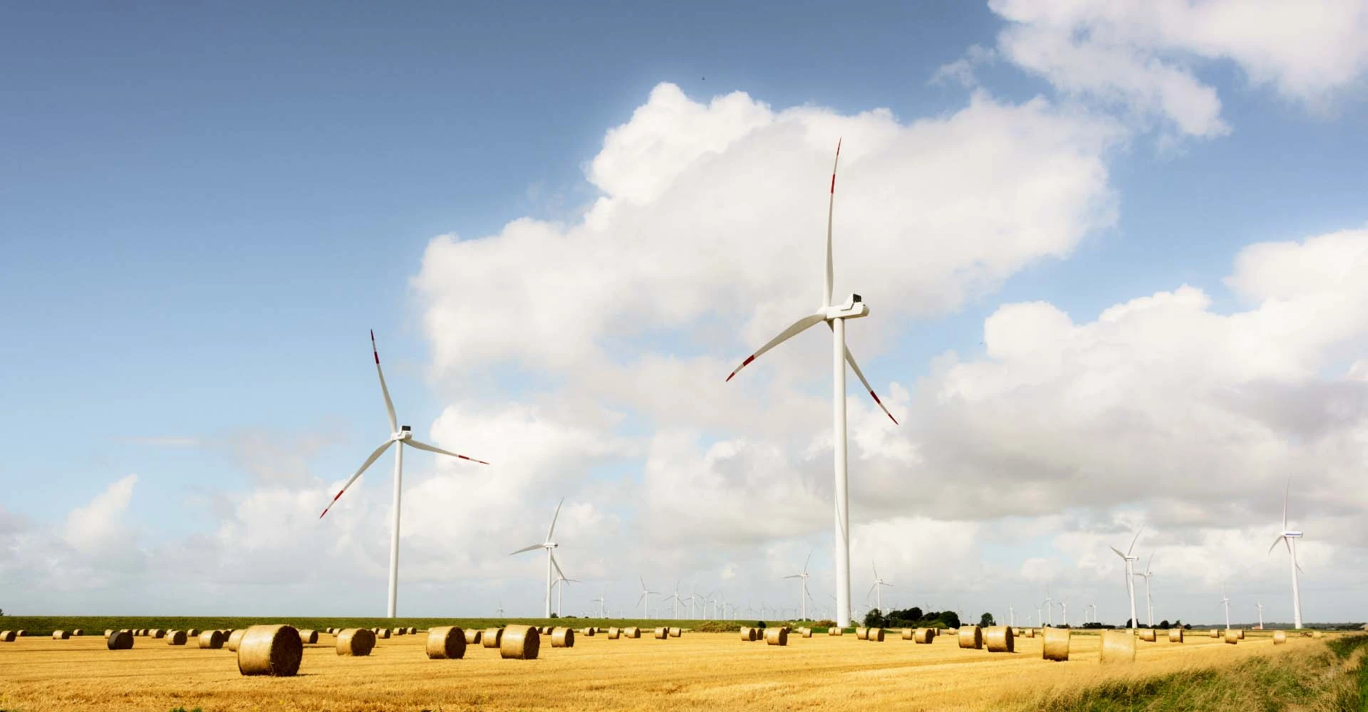 Abgemähtes Feld mit Windkraftanlagen